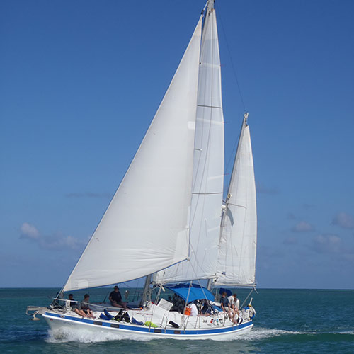Dunedin clearwater sailing charter cruises